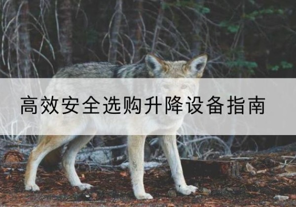 莱州升降货梯厂家推荐-*安全选购升降设备指南