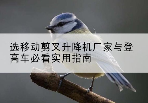 莱州电动升降机厂家-选移动剪叉升降机厂家与登高车必看实用指南